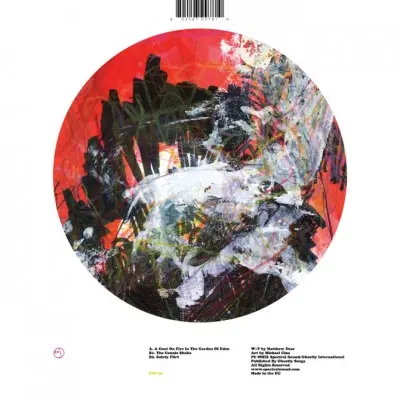 Jabberjaw - The Garden Of Eden, Electronic, Minimal, Techno, 2009 - Spectral Sound, US, Vinyl 1x 12", 45 RPM, 33 ⅓ RPM