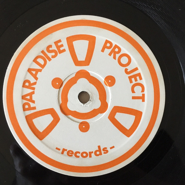 FPI Project - Risky (Remix), Electronic, Italo House, 1991 - Paradise Project Records, Italy, Vinyl 1x 12", 33 ⅓ RPM
