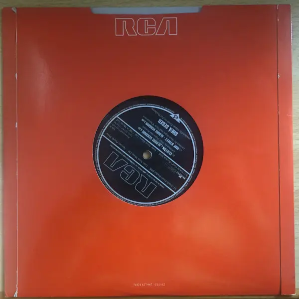 Shea Seger - Clutch, Electronic, Pop, Rock, Hip Hop, Pop Rock, Vocal, 2001 - BMG, RCA, UK & Ireland, Vinyl 1x 10", Promo