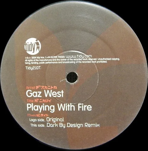 Album cover for Playing With Fire by Gareth West