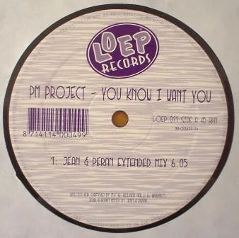 Album cover for You Know I Want You by PM Project