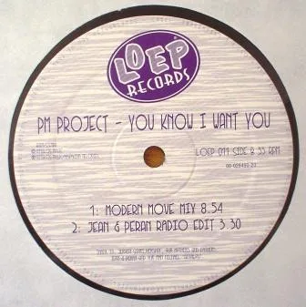 Album cover for You Know I Want You by PM Project
