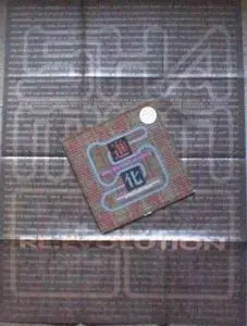 Shamen, The With Terence McKenna - Re: Evolution, Electronic, Acid, Psychedelic, Spoken Word, Techno, 1993 - One Little India