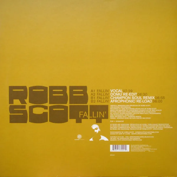 Album cover for Fallin' by Robb Scott