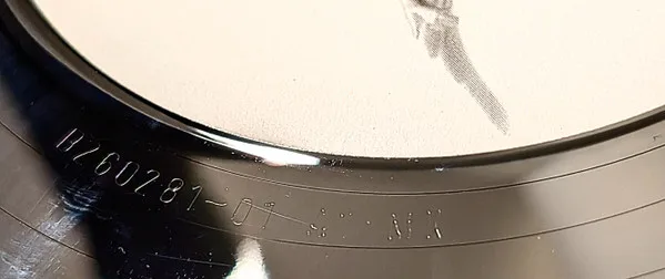 Album cover for Everybody's Free by Angel_One