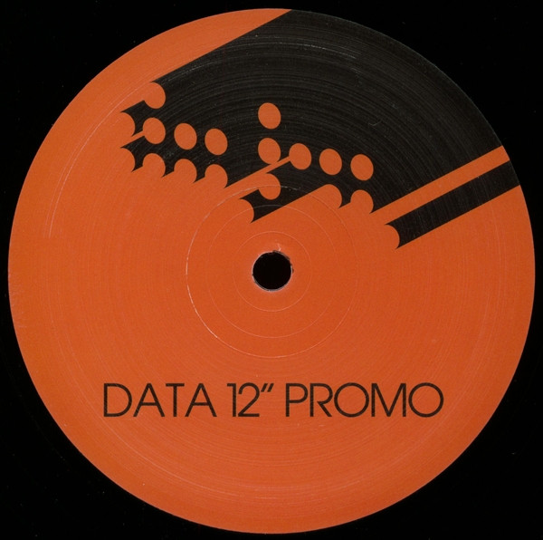 Kut & Swel - Stone Fox Chase, Electronic, House, Tech House, 2008 - Data Records, UK, Vinyl 1x 12", Promo
