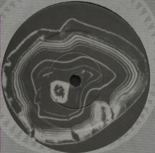 TJ Rehmi - The Fusionist, Electronic, Drum n Bass, 1997 - Nation Records, UK, Vinyl 1x 12", EP