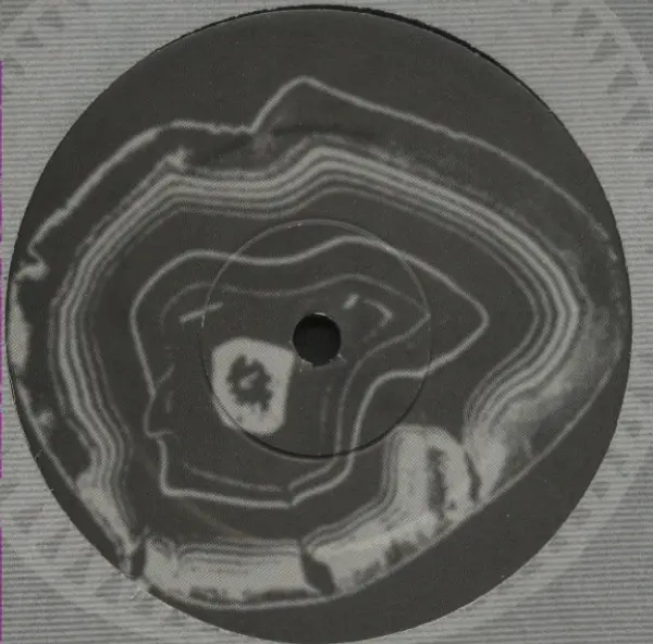 TJ Rehmi - The Fusionist, Electronic, Drum n Bass, 1997 - Nation Records, UK, Vinyl 1x 12", EP