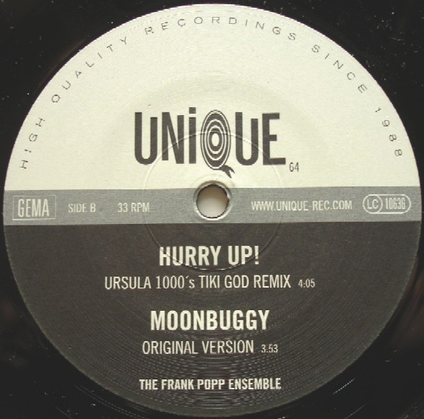 Frank Popp Ensemble, The - You've Been Gone Too Long, Electronic, Big Beat, 2002 - Unique, Germany, Vinyl 1x 12"