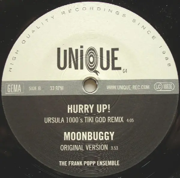 Frank Popp Ensemble, The - You've Been Gone Too Long, Electronic, Big Beat, 2002 - Unique, Germany, Vinyl 1x 12"