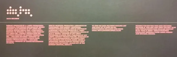 Album cover for No Matter What You Do by Benny Benassi Presents Biz (5), The