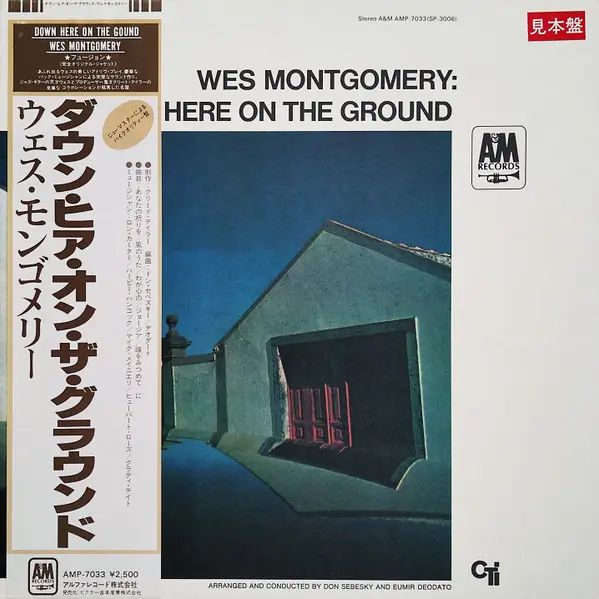 Down Here On The Ground