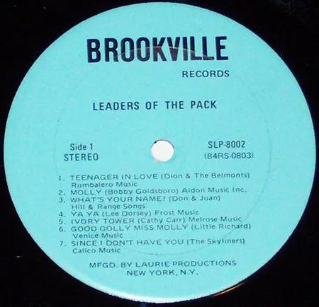 Album cover for Leaders Of The Pack by Various