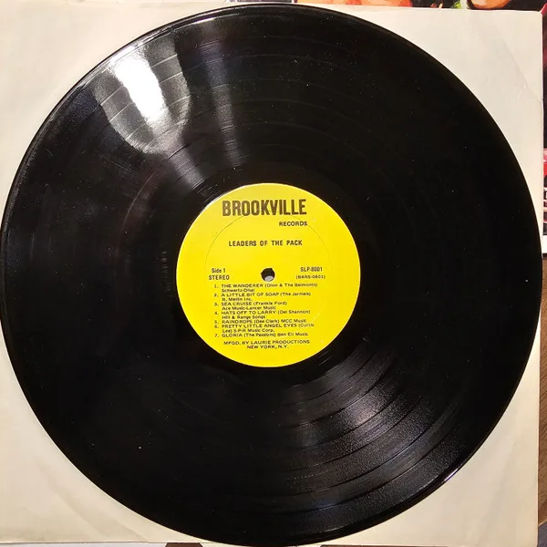 Album cover for Leaders Of The Pack by Various