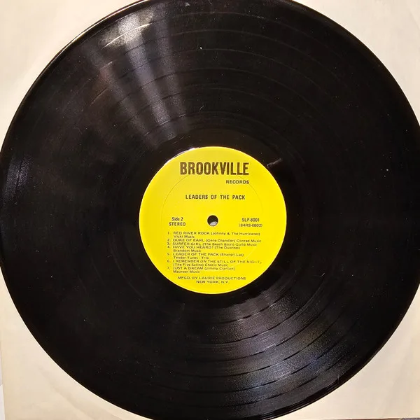 Album cover for Leaders Of The Pack by Various