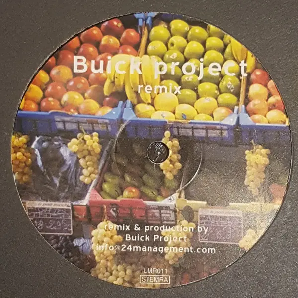 Sander Kleinenberg - The Fruit, Electronic, Breakbeat, House, 2004 - Little Mountain Recordings, Netherlands, Vinyl 1x 12", 4