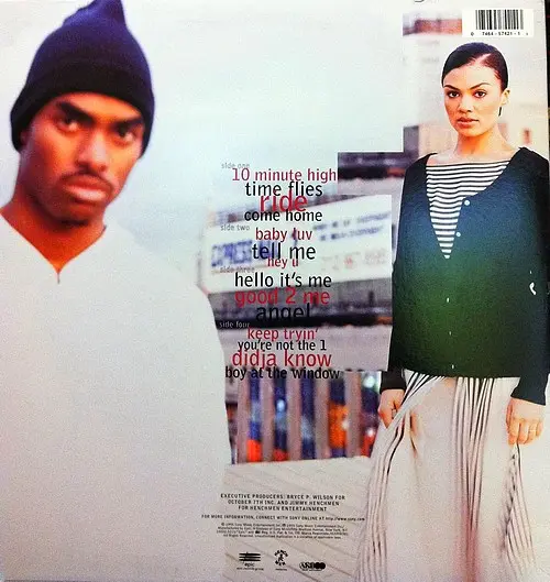 Groove Theory - Groove Theory, Funk / Soul, Hip Hop, Contemporary R&B, Neo Soul, 1995 - Epic, US, Vinyl 2x LP, Album