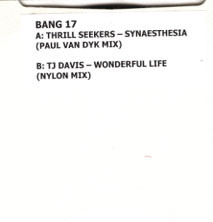 Synaesthesia / Wonderful Life