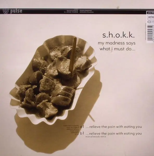 Album cover for My Madness Says What I Must Do... by S.H.O.K.K.