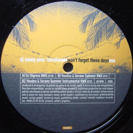 Album cover for Won't Forget These Days Rmx by DJ Yanny Pres. Terraformer
