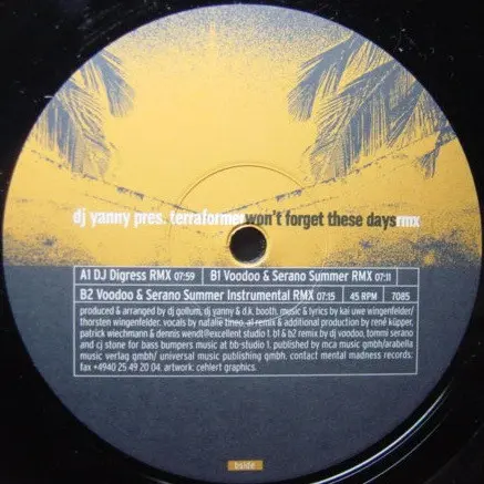 Album cover for Won't Forget These Days Rmx by DJ Yanny Pres. Terraformer