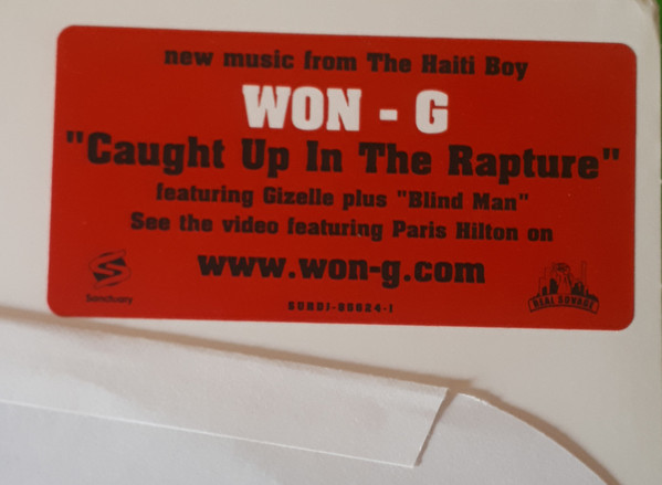 Won-G feat. Gizelle D'Cole - Caught Up In The Rapture, Electronic, Hip Hop, Trance, 2004 - Real Sovage, Sanctuary, US, Vinyl 