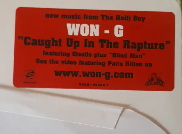 Won-G feat. Gizelle D'Cole - Caught Up In The Rapture, Electronic, Hip Hop, Trance, 2004 - Real Sovage, Sanctuary, US, Vinyl 
