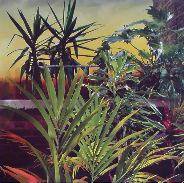 Album cover for I'm Not Your Toy by La Roux