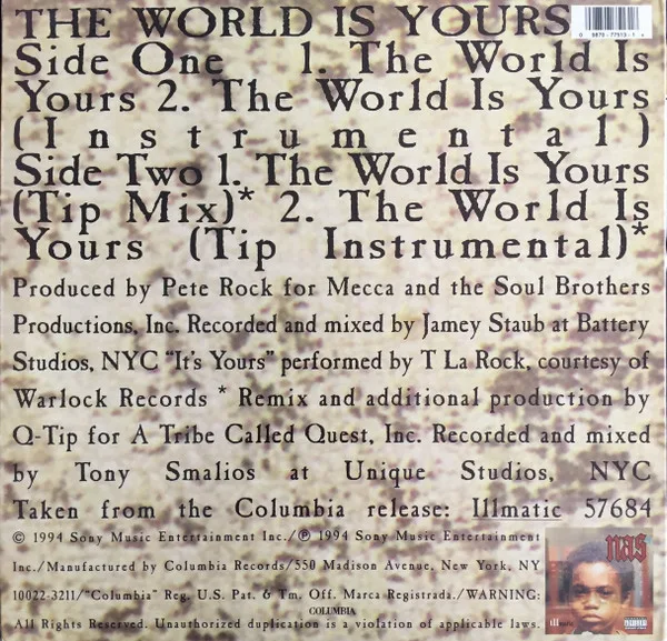 Album cover for The World Is Yours by Nas