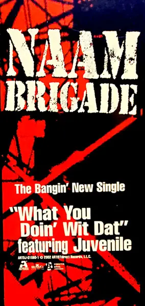 Naam Brigade - What You Doin' Wit Dat, Hip Hop, Gangsta, Hardcore Hip-Hop, 2002 - Artist Direct Records, US, Vinyl 1x 12", Si
