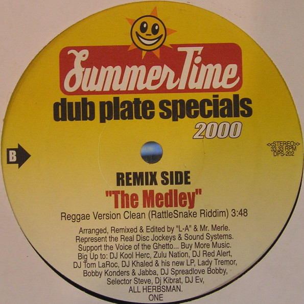 Various - Dub Plate Specials 2000 - 2000 - Dancehall - Summer Time (2) - Vinyl 1x 12", 33 ⅓ RPM