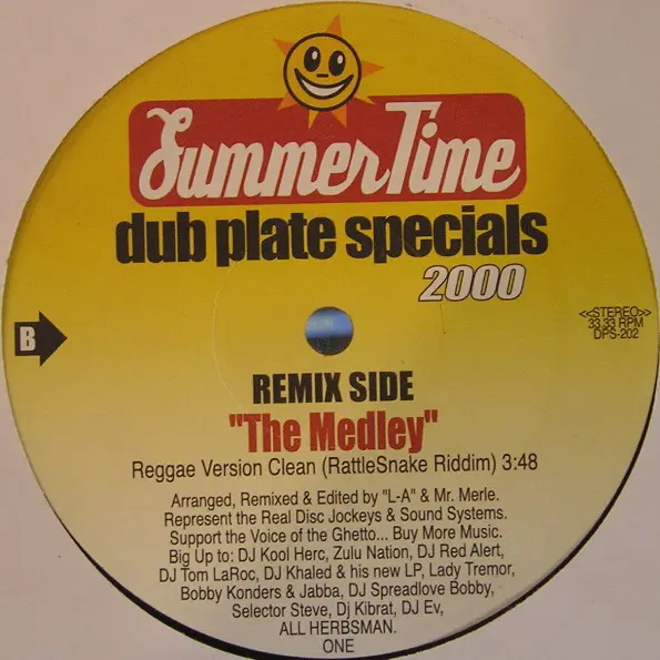 Various - Dub Plate Specials 2000 - 2000 - Dancehall - Summer Time (2) - Vinyl 1x 12", 33 ⅓ RPM