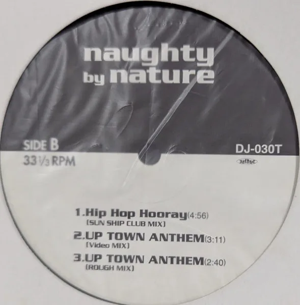 Album cover for Untitled by Naughty By Nature