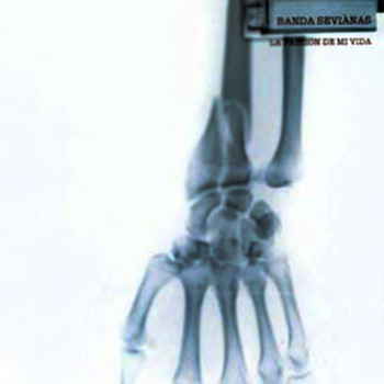 La Passion De Mi Vida