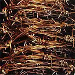 Zeni Geva - Freedom Bondage, Rock, Noise, 1995 - Alternative Tentacles, US, Vinyl 1x LP, Album