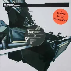 Harem Doctors - Heartbeat (The 2000 Remixes), Electronic, Hard Trance, Trance, 2000 - Harem Records, Switzerland, Vinyl 1x 12