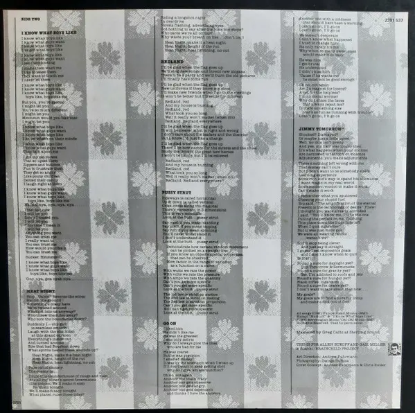 Waitresses, The - Wasn't Tomorrow Wonderful?, Rock, New Wave, Pop Rock, 1982 - Polydor, Australia, Vinyl 1x LP, Album