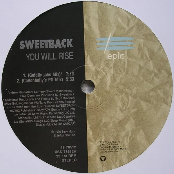 Album cover for You Will Rise by Sweetback Featuring Amel Larrieux