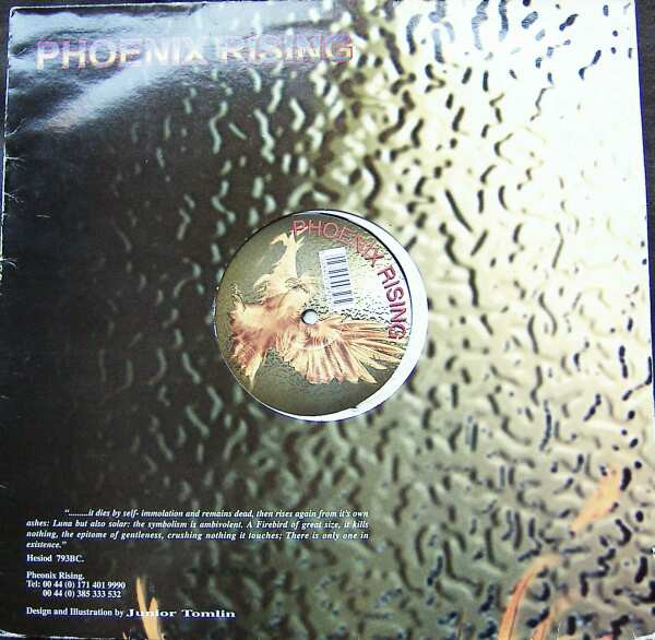 Section X - Galaxian, Electronic, Hard Trance, Techno, 1995 - Phoenix Rising, UK, Vinyl 1x 12"