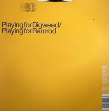 Album cover for Playing For Digweed by Martin Accorsi & Tim Skinner