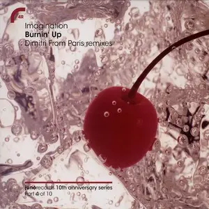 Burnin' Up (Dimitri From Paris Remixes)
