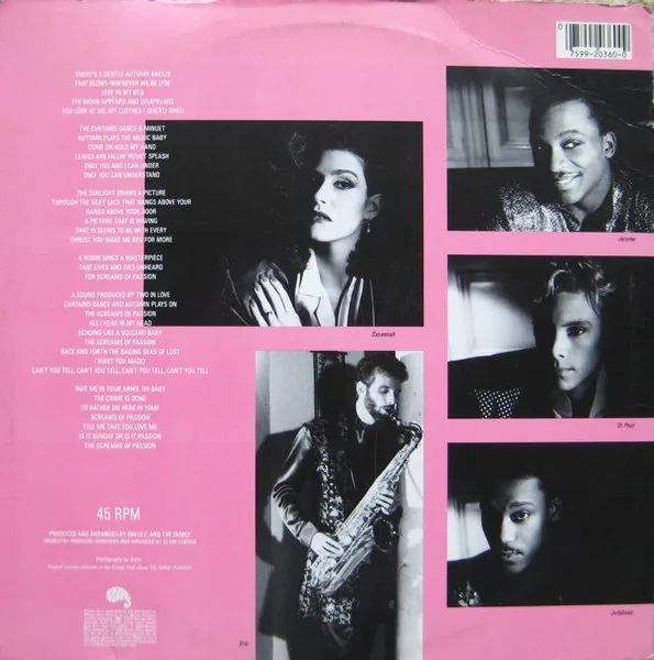 Album cover for The Screams Of Passion by Family (2), The