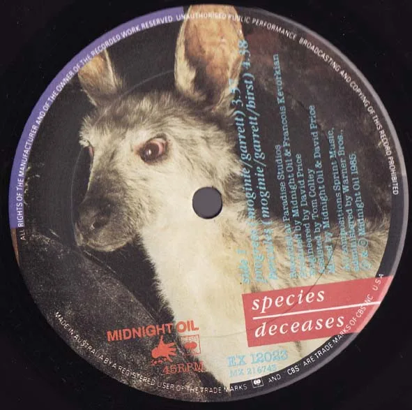 Album cover for Species Deceases by Midnight Oil