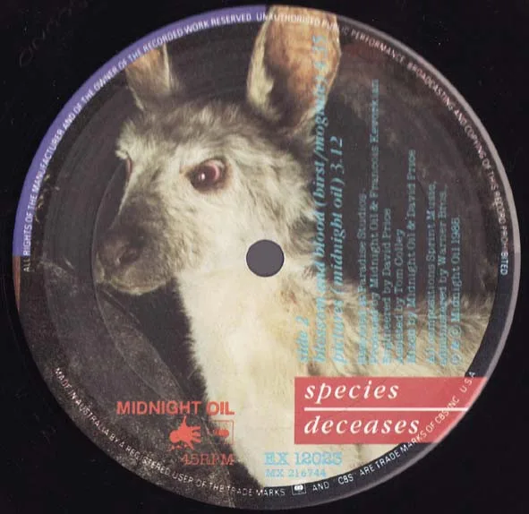 Album cover for Species Deceases by Midnight Oil