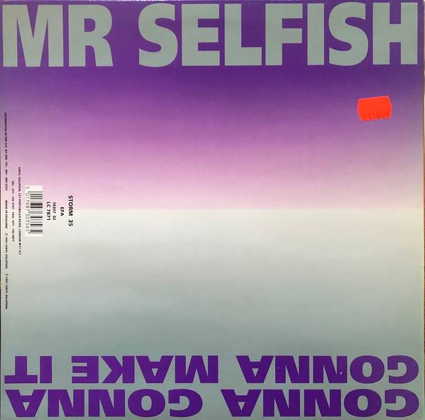 Album cover for Mr Selfish by Mr. Selfish