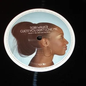 Album cover for Guess You Didn't Love Me by Terri Walker