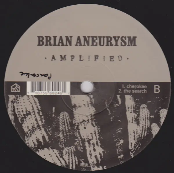 Brian Aneurysm - Amplified, Electronic, Minimal, Techno, 2003 - Sub Static, Germany, Vinyl 2x 12", Album, 45 RPM, 33 ⅓ RPM