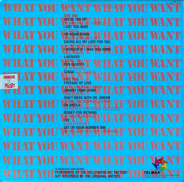 Album cover for What You Want by Hollywood Hit Factory, The