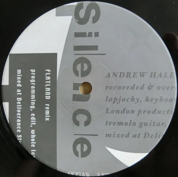 Opposite (2) - From Silence, Electronic, House, Techno, 2001 - DigiCube, Japan, Vinyl 1x 12", Promo, 45 RPM