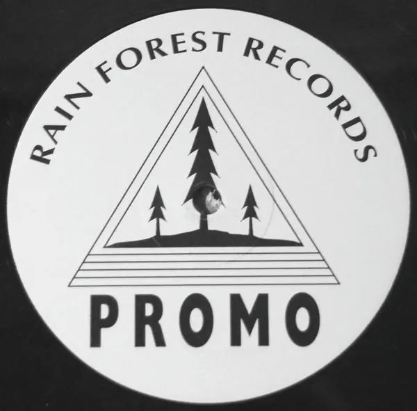 Rainforest - The Birds, Electronic, Progressive House, Trance, 1993 - Rain Forest Records, UK, Vinyl 1x 12", 45 RPM, Promo